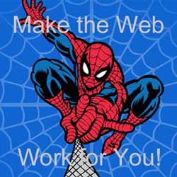 spider web